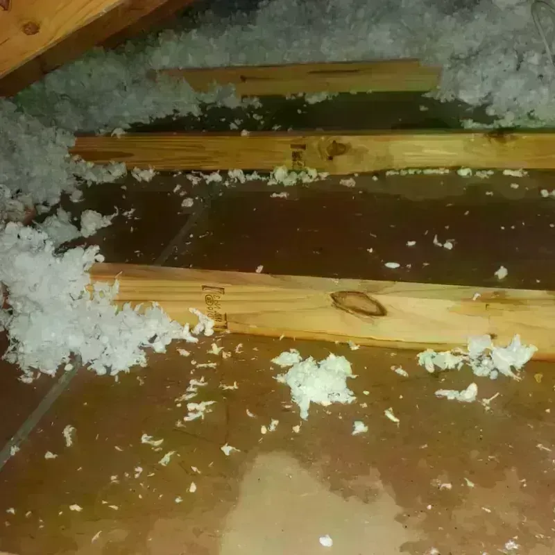 Attic Water Damage in Aurora, MN