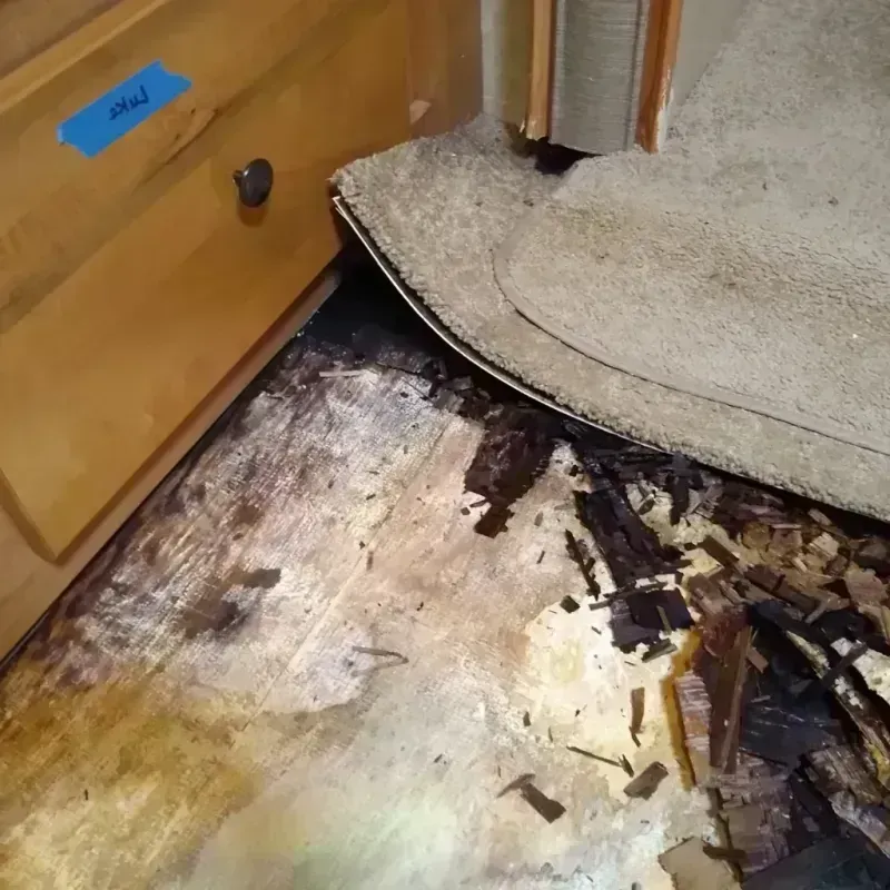 Wood Floor Water Damage in Aurora, MN